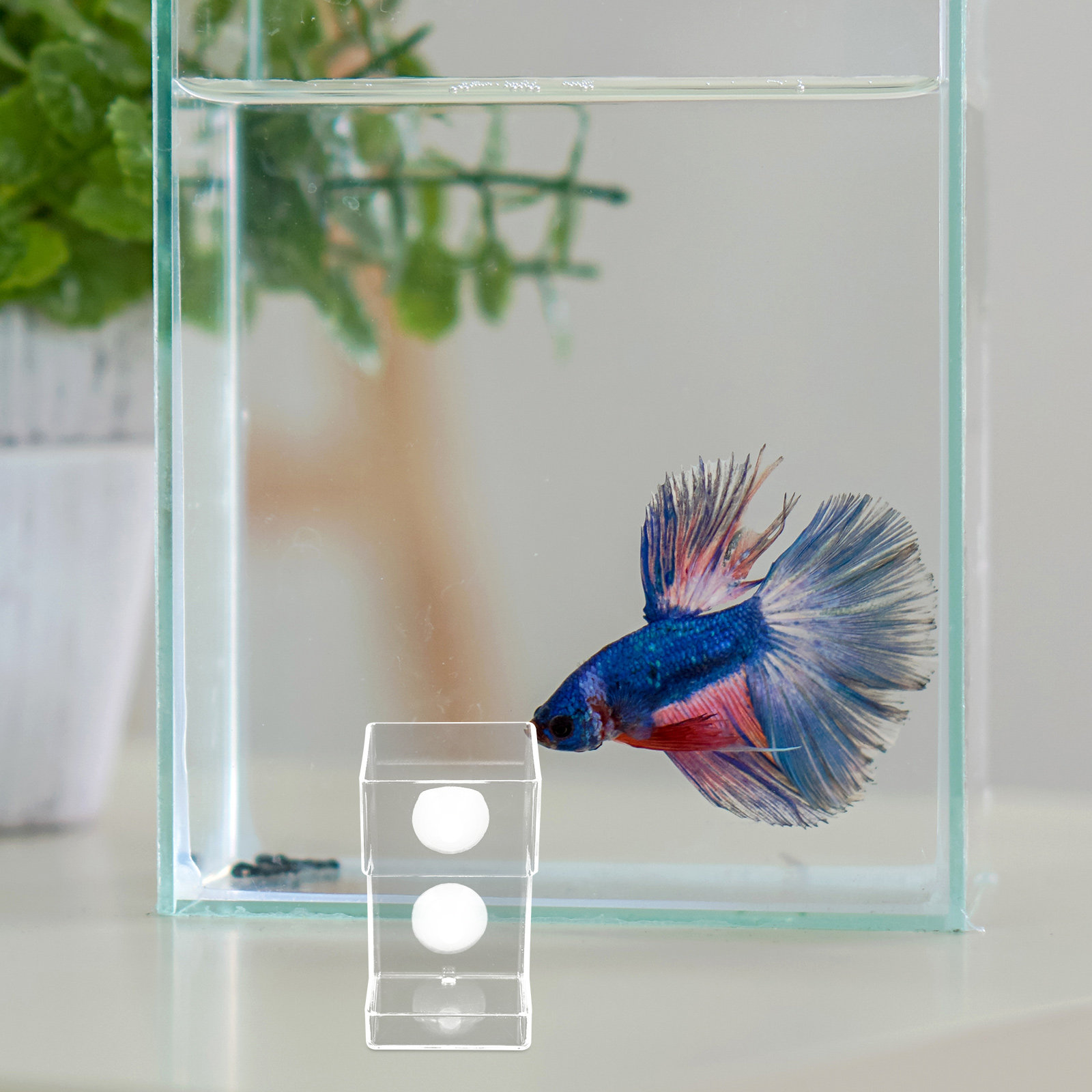 Aquarium Fish Feeder Automatic - Aquarium Acryl Visvoeder Vlottende Buizenbak Automatische
