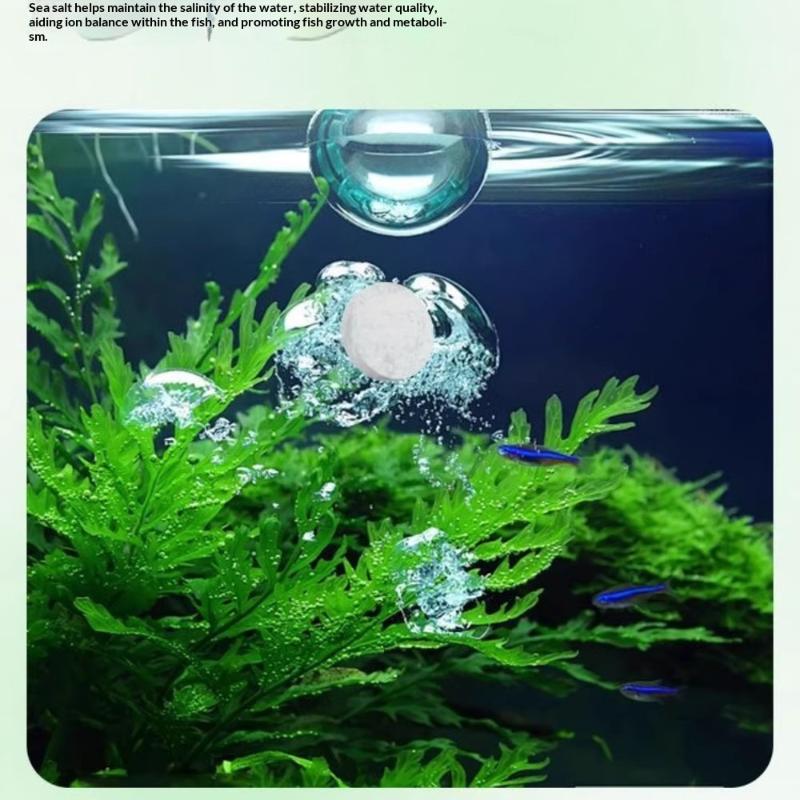 Aquarium Fish Black - Aquarium Algenreiniger Tabletten Geen Watervervaging Snelle