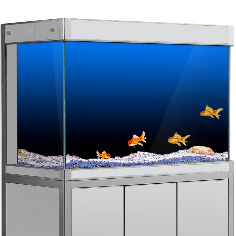 Aquarium Fish Black - Aquarium Achtergrond Sticker Zwart Groen Blauw