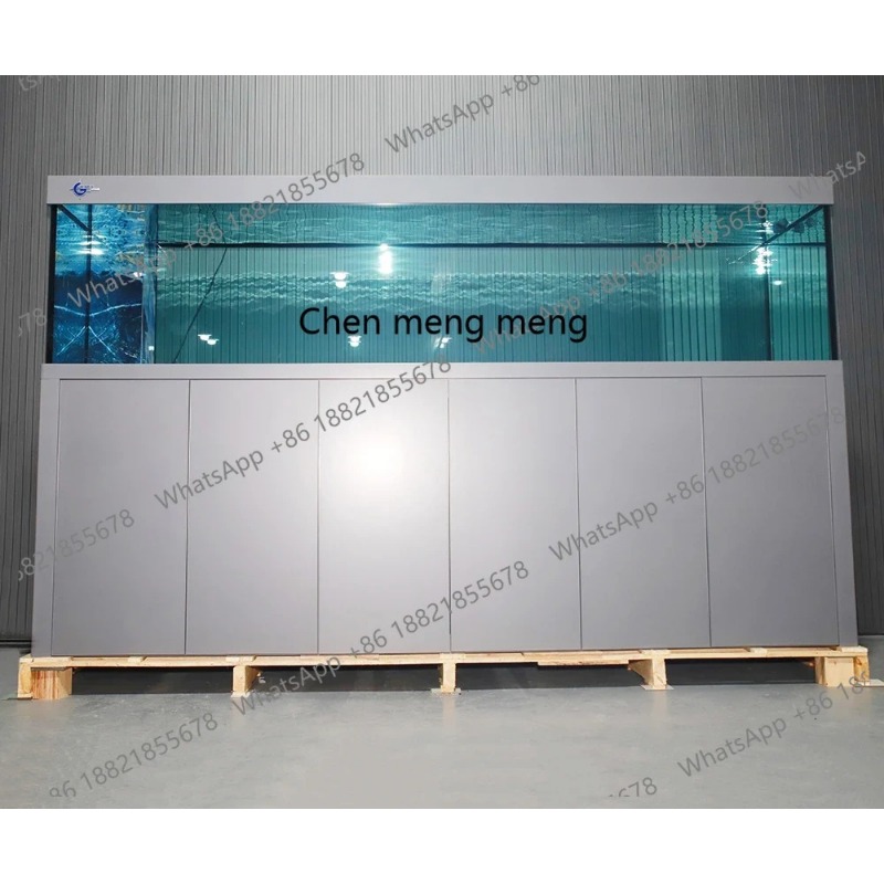 Aquarium Fish Big Size - Grote, stille glazen visbak op maat