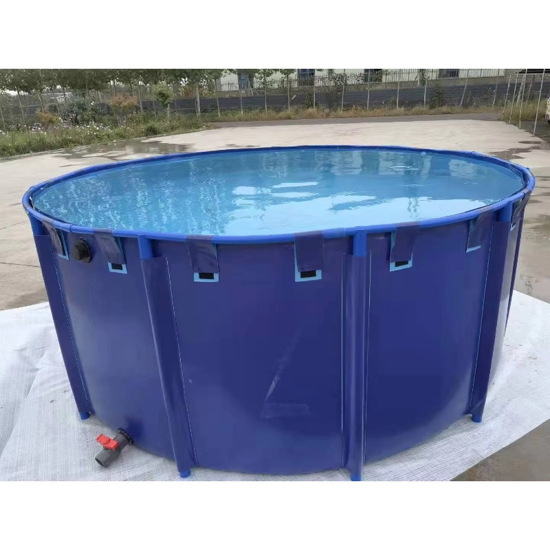 Aquarium Fish Big Size - Groothandel op maat gemaakte grote, populaire