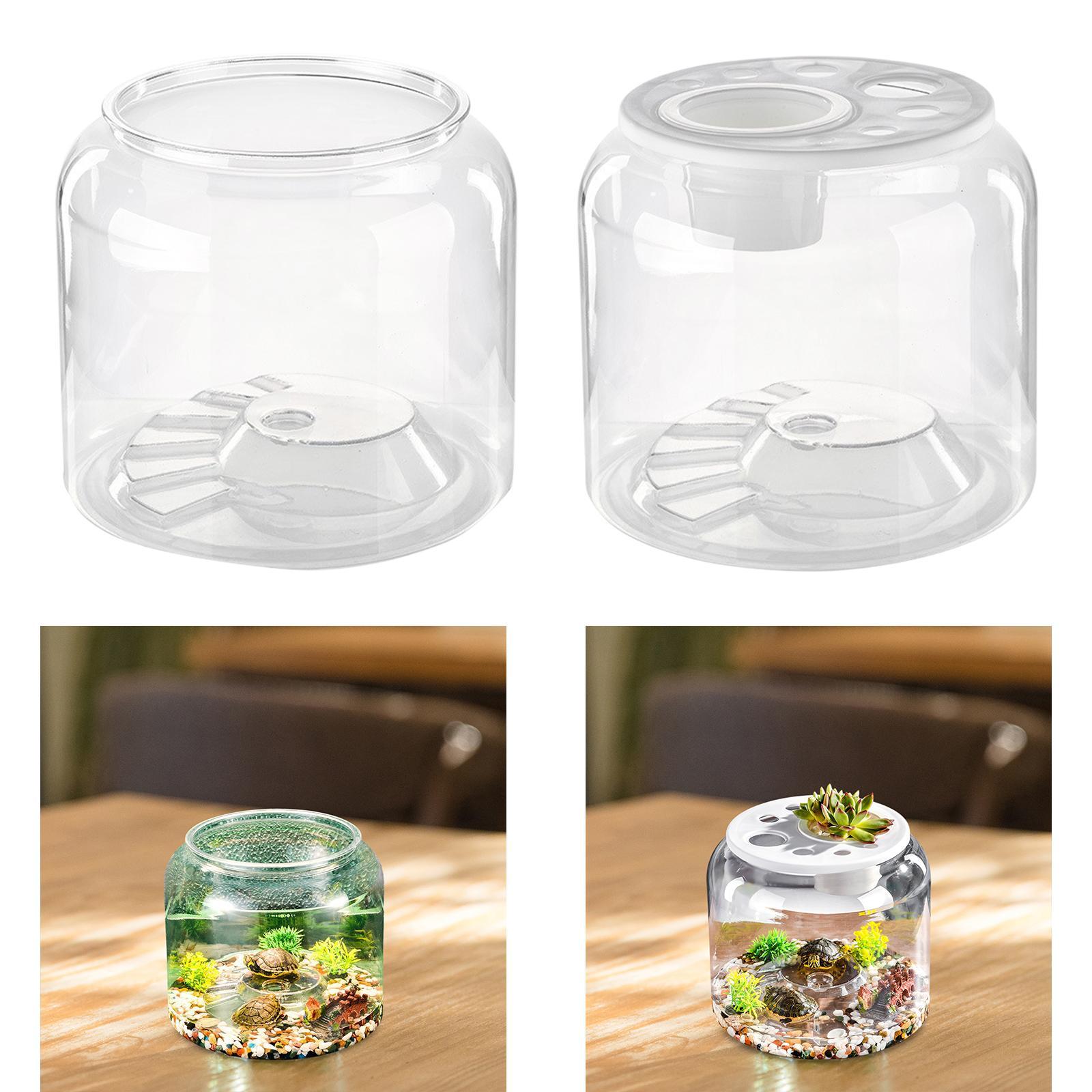 Aquarium Fish Drawing - Schildpadcontainer Hoge capaciteit Doorzichtig tafelstuk Trendy