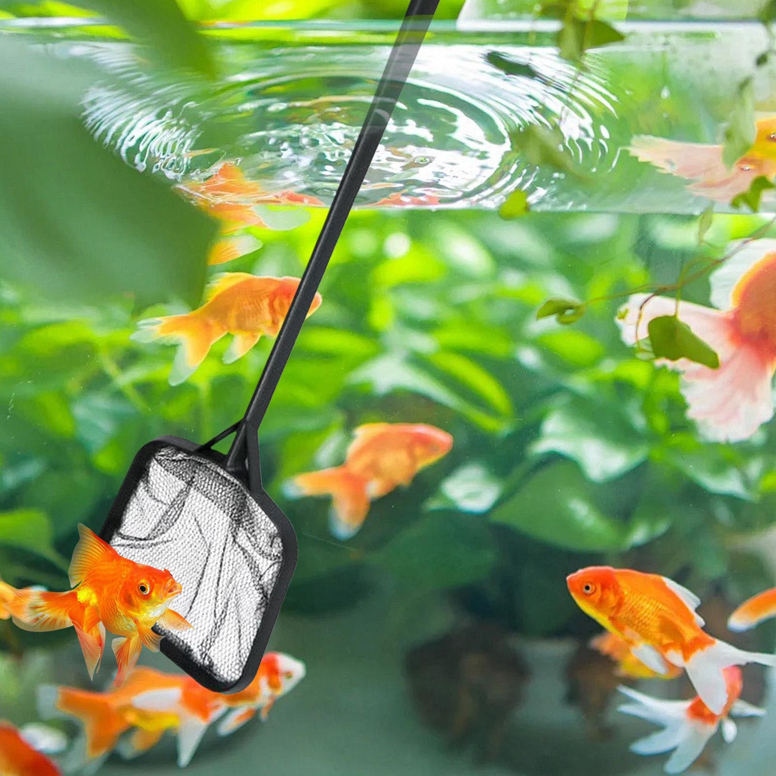 Zwembadnetten voor het reinige - Aquarium Fish Maintenance recensie en prijs