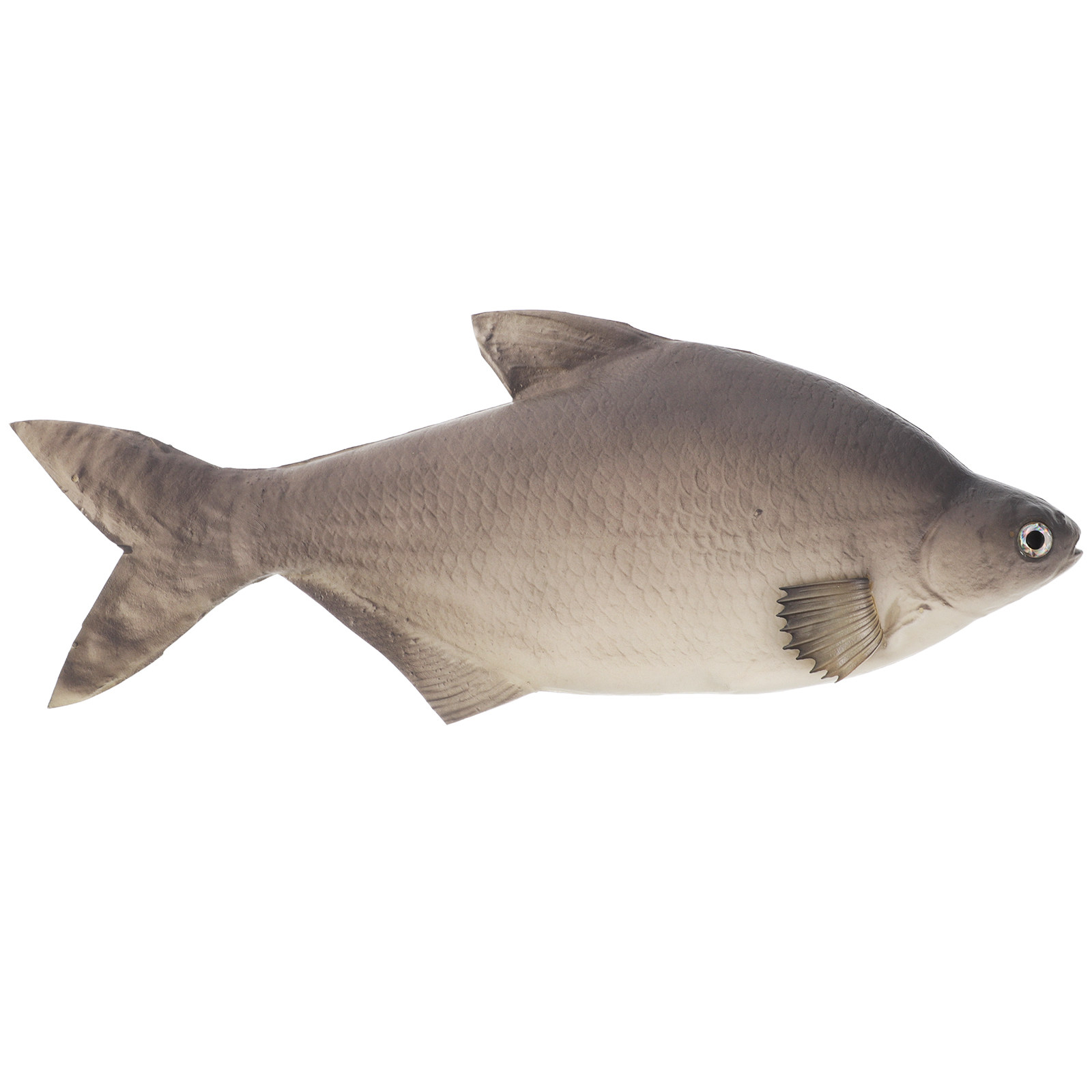 Gedetailleerde PU-gesimuleerde - Aquarium Fish Market recensie en prijs
