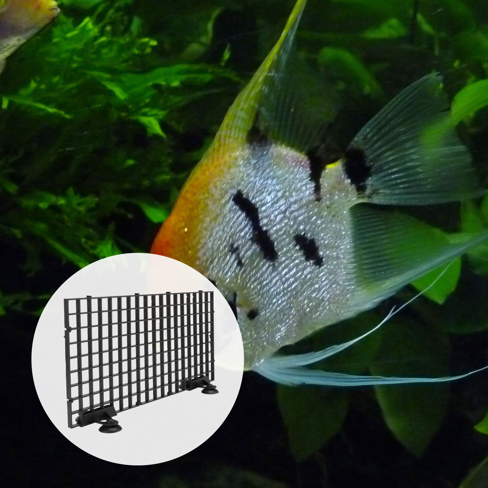 Viskwekerijnet Grote Maat Zwar - Aquarium Fish Big Size recensie en prijs