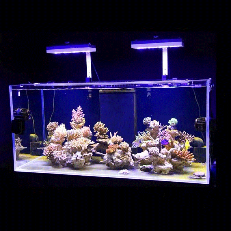 Aqua Lighting AI Hydra 32HD/64 - Aquarium Fish Black recensie en prijs