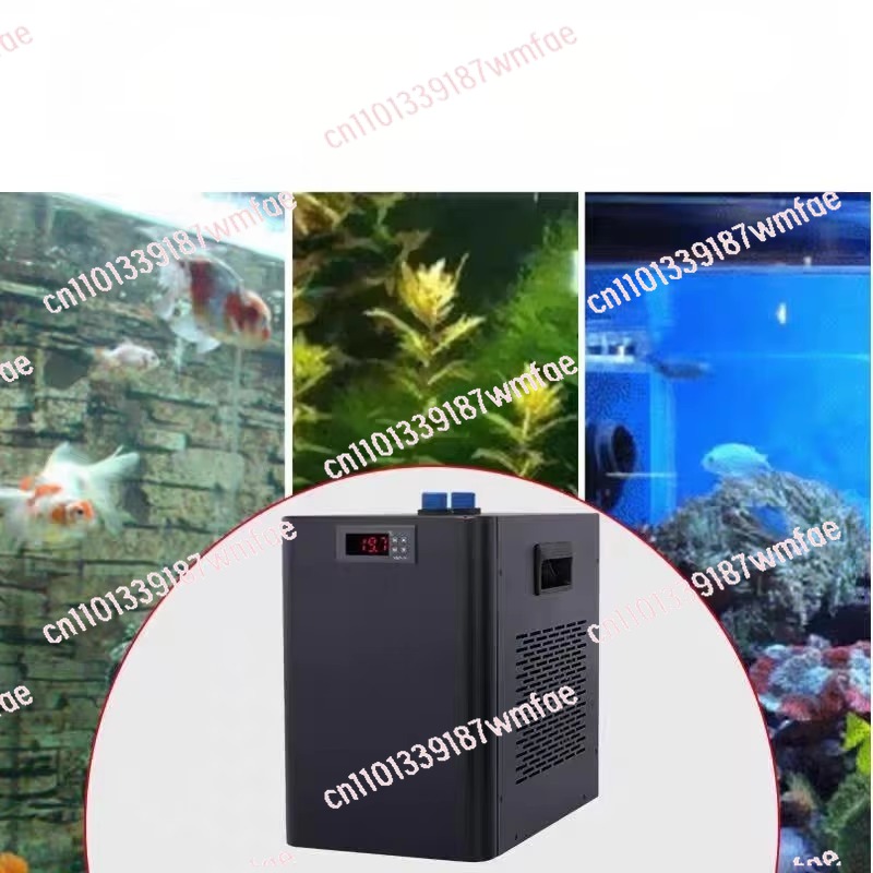1 pk zwart aquarium aquarium c - Aquarium Fish Black recensie en prijs