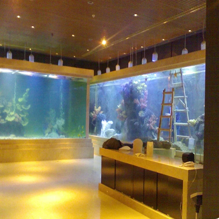 l Acryl Groot aquarium Rechtho - Aquarium Fish Big Size recensie en prijs