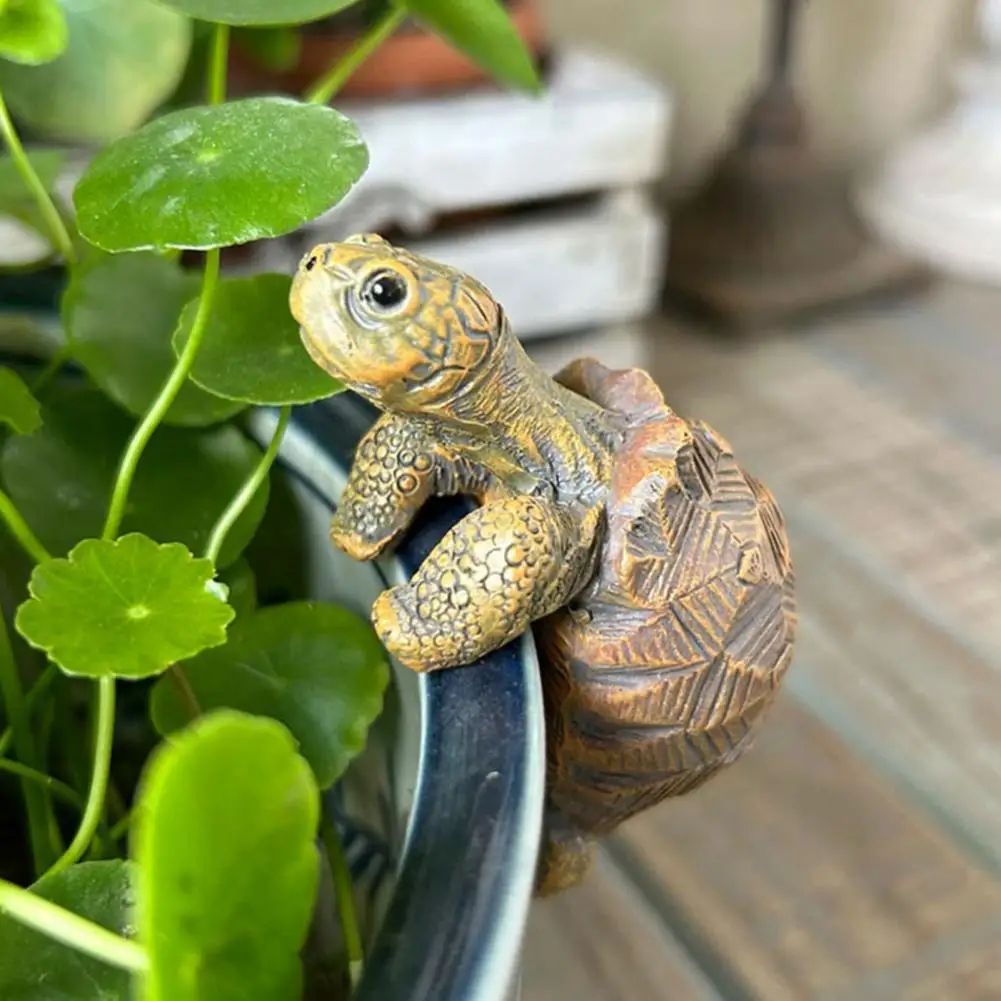 Visserij-schildpad hangende sc - Aquarium Fishing recensie en prijs