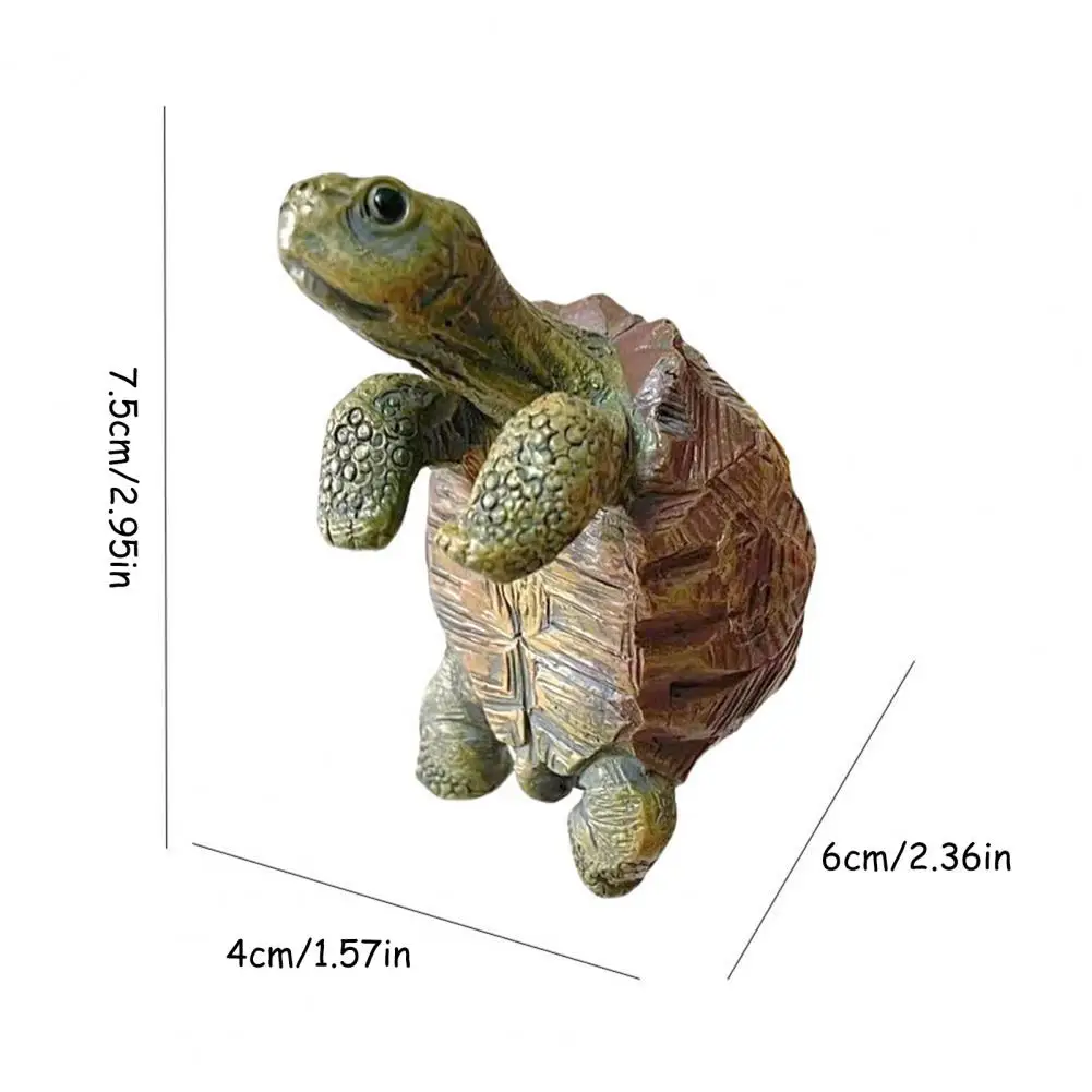 Visserij-schildpad hangende sc - Aquarium Fishing recensie en prijs