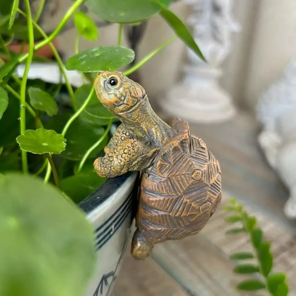 Visserij-schildpad hangende sc - Aquarium Fishing recensie en prijs
