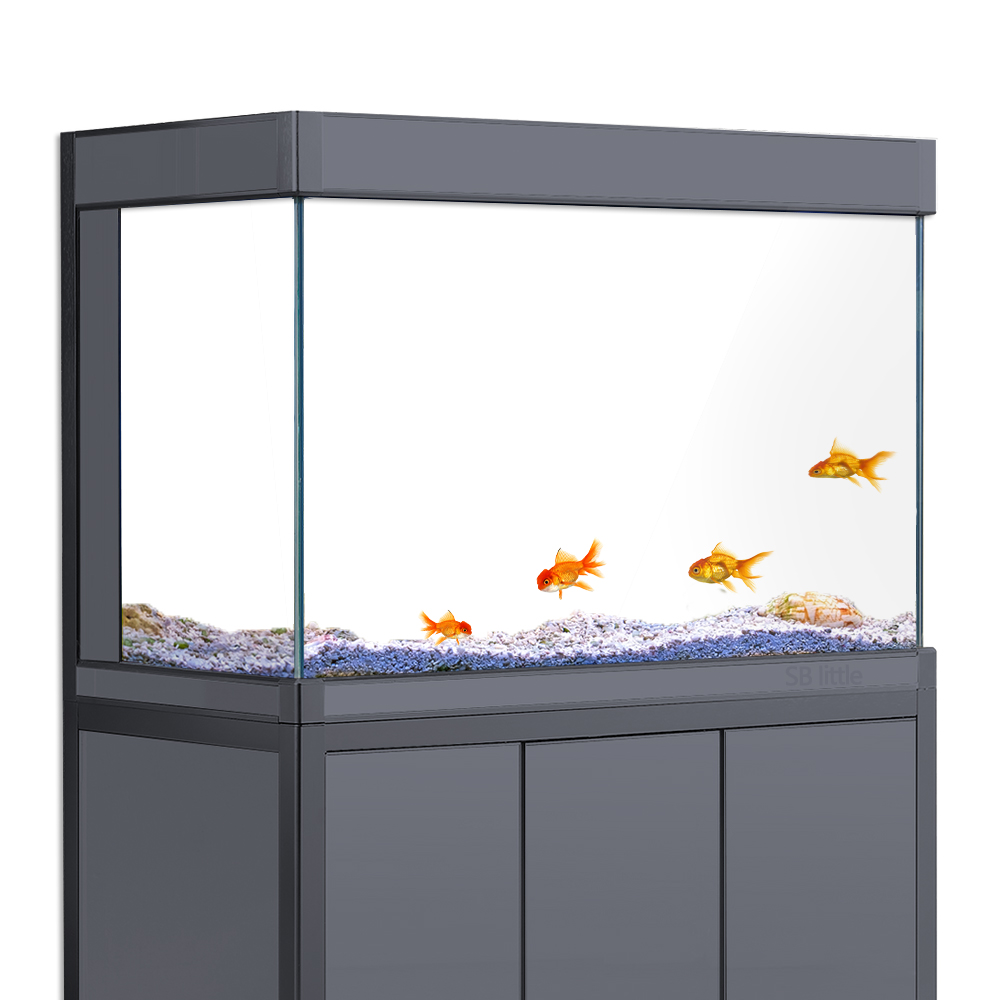 Aquariumachtergrond Statisch k - Aquarium Fish Black recensie en prijs
