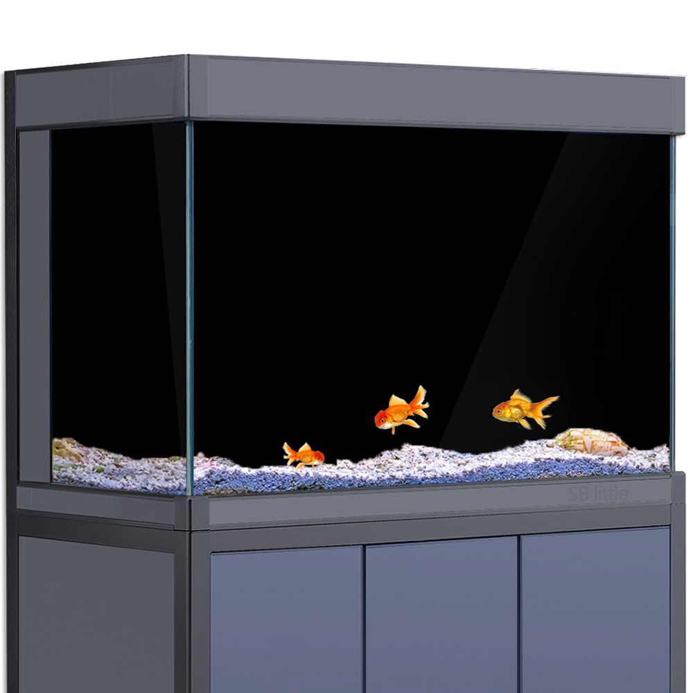 Aquariumachtergrond Statisch k - Aquarium Fish Black recensie en prijs