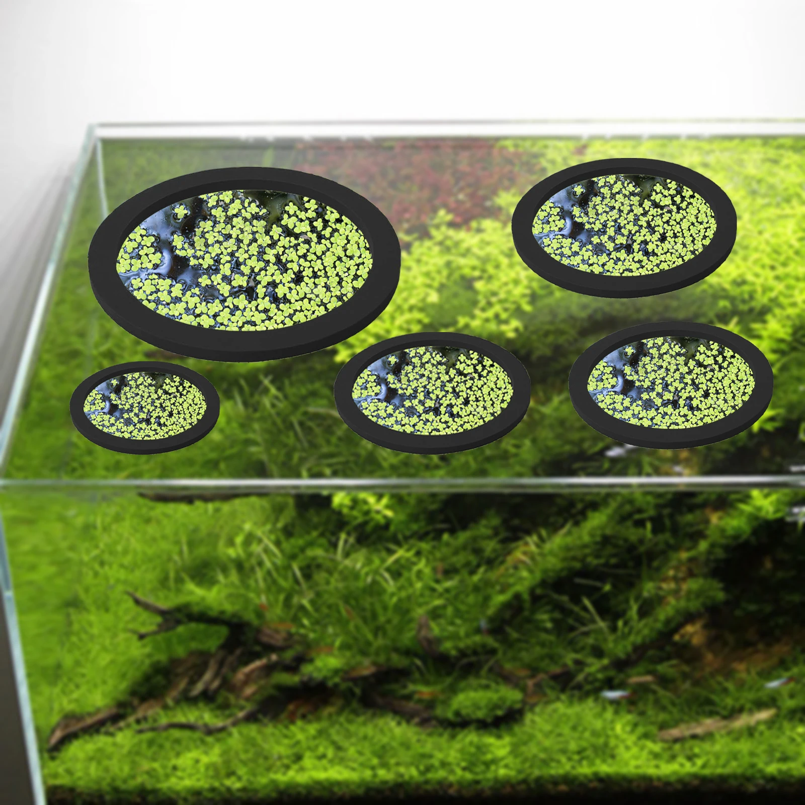 5 stks EVA Vis Voeden Ring Aqu - Aquarium Fishing recensie en prijs