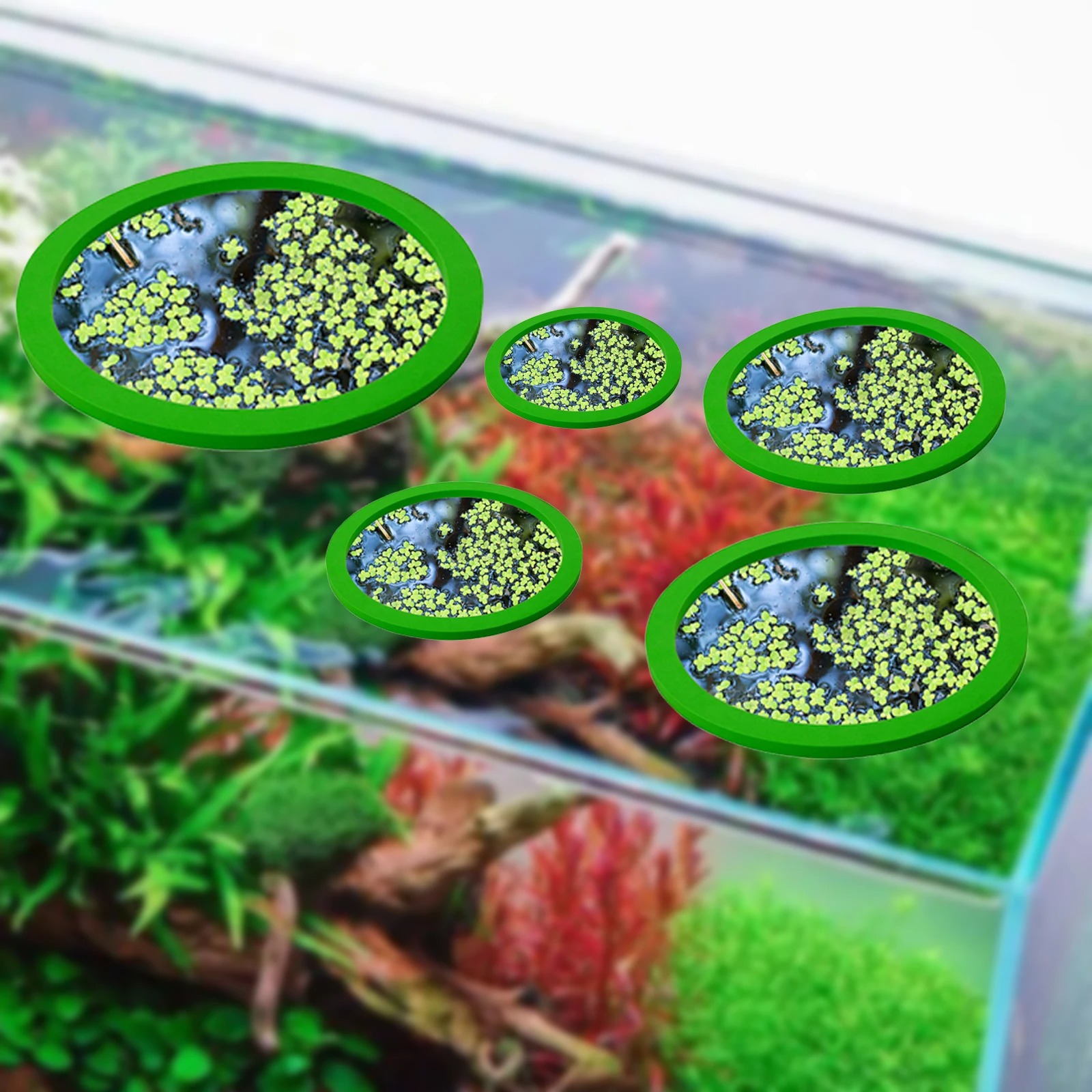 5 stks EVA Vis Voeden Ring Aqu - Aquarium Fishing recensie en prijs