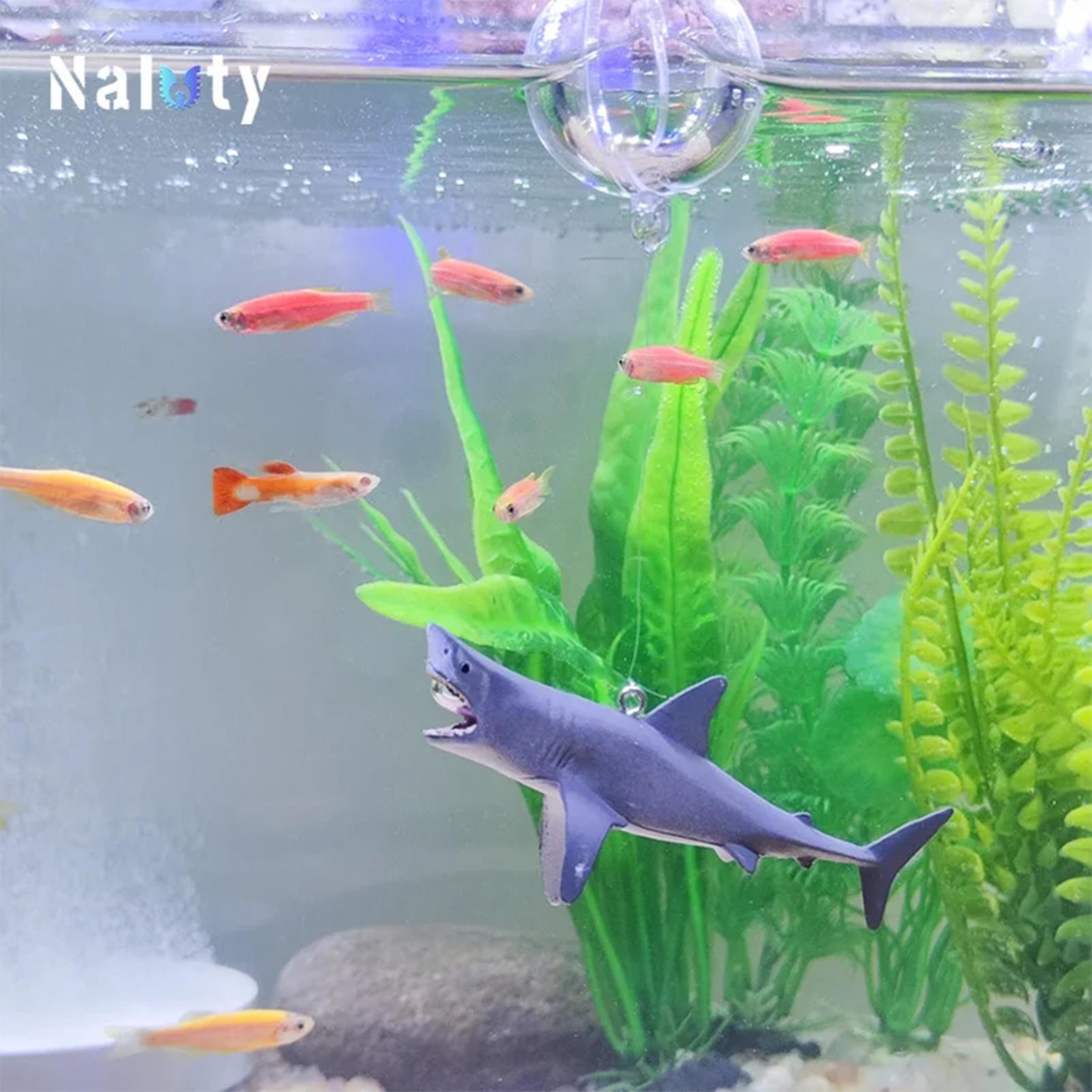 Drijvende haai aquarium landsc - Aquarium Fish Shark recensie en prijs