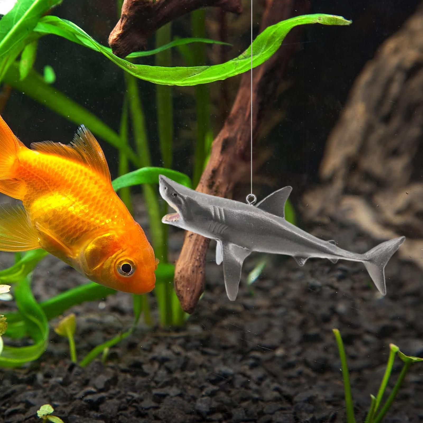 Drijvende haai aquarium landsc - Aquarium Fish Shark recensie en prijs