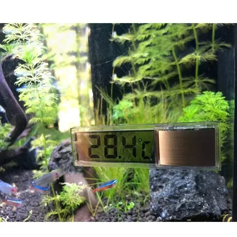 Aquariumthermometer Elektronis - Aquarium Thermometer recensie en prijs