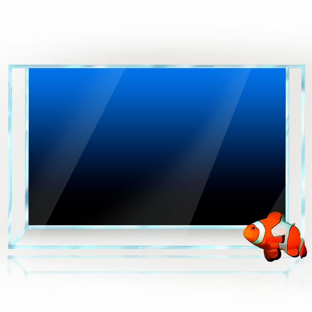 Aquarium Achtergrond Sticker Z - Aquarium Fish Black recensie en prijs