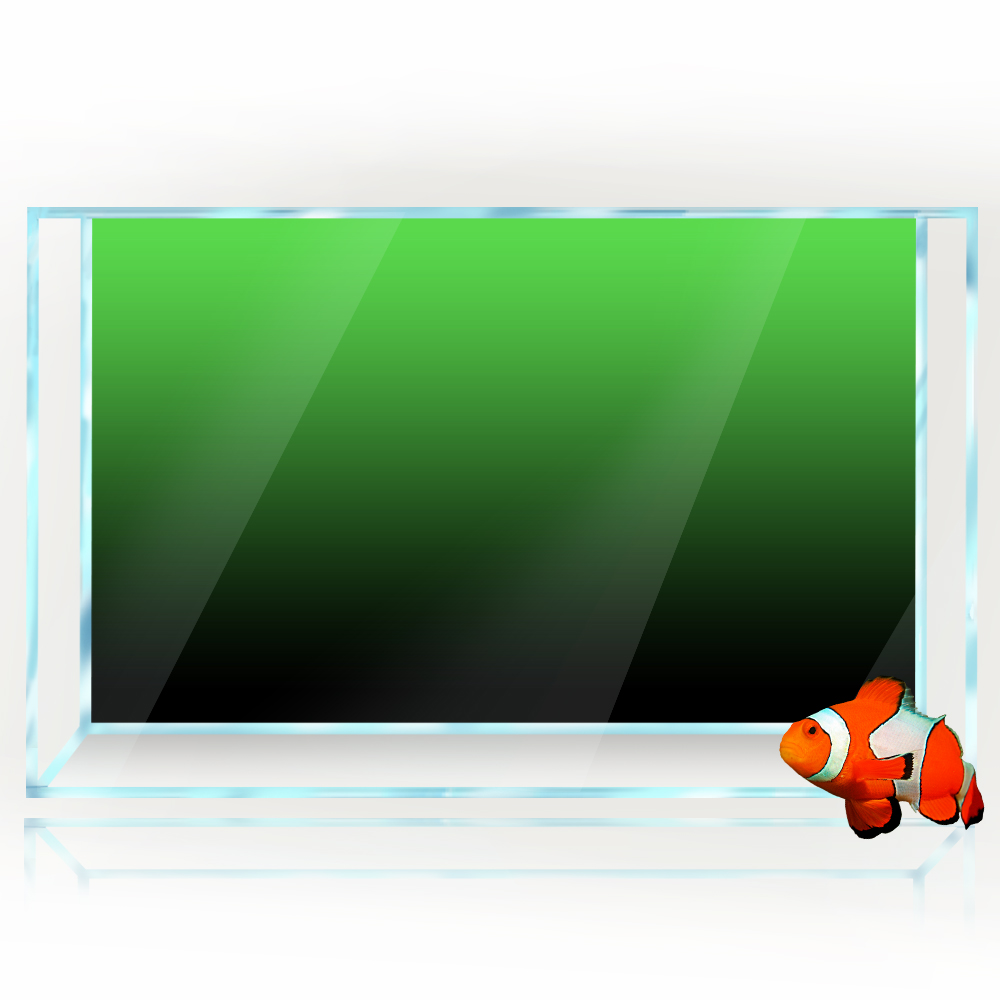 Aquarium Achtergrond Sticker Z - Aquarium Fish Black recensie en prijs