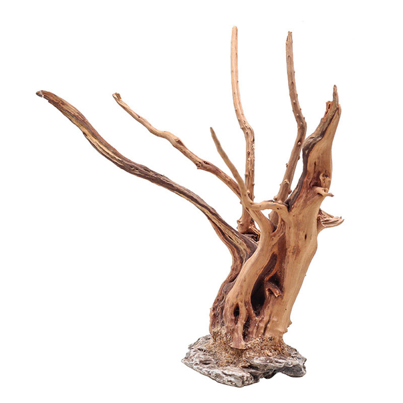1Pc Aquarium Landschapsarchite - Aquarium Fish Cartoon recensie en prijs