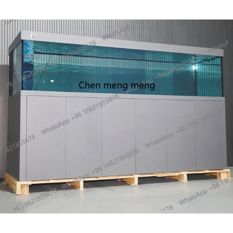 Grote, stille glazen visbak op - Aquarium Fish Big Size recensie en prijs