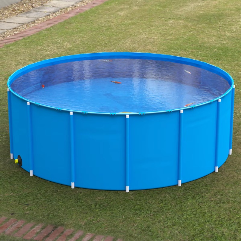 Groothandel op maat gemaakte g - Aquarium Fish Big Size recensie en prijs