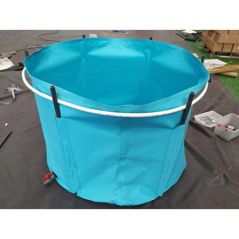 Groothandel op maat gemaakte g - Aquarium Fish Big Size recensie en prijs