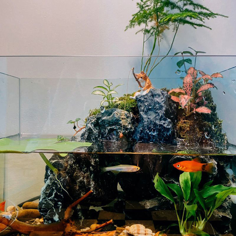 ● Visserijkat Ornamenten Aquar - Aquarium Fish Cartoon recensie en prijs