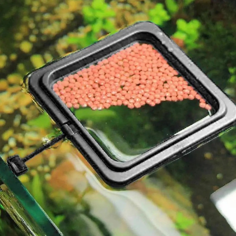 Zwarte kleur aquarium voederri - Aquarium Fish Black recensie en prijs