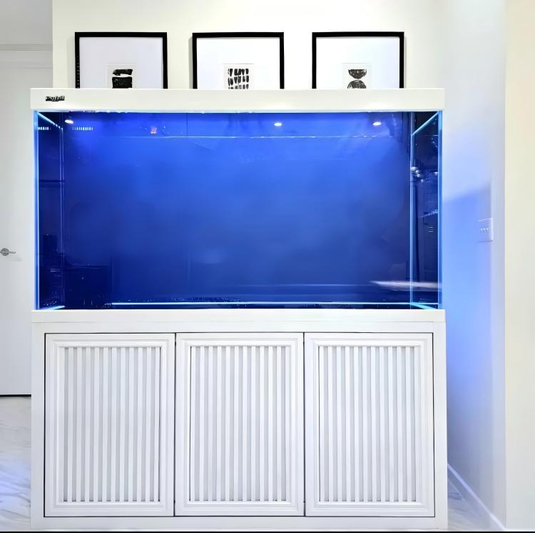Groot aquarium, grote ultra-he - Aquarium Fish Big Size recensie en prijs