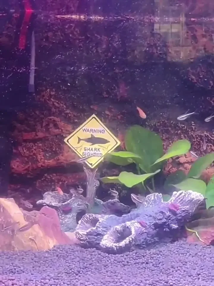 Hars Aquarium Decoratieve Orna - Aquarium Fish Shark recensie en prijs