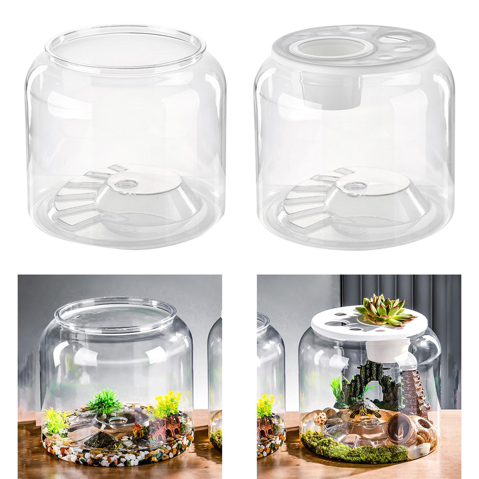 Schildpadcontainer Hoge capaci - Aquarium Fish Drawing recensie en prijs
